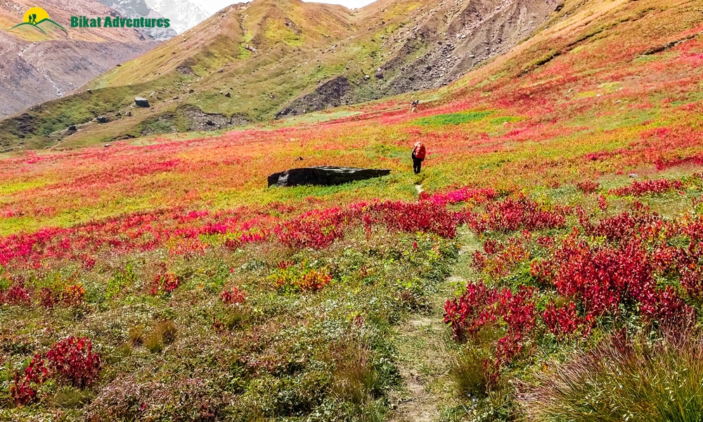 9 Expeditions to Challenge You In 2021