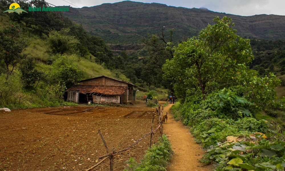Maharashtra Memoirs: Hiking in the Sahyadris