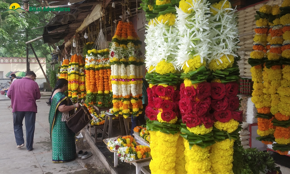 Maharashtra Memoirs: Hiking in the Sahyadris