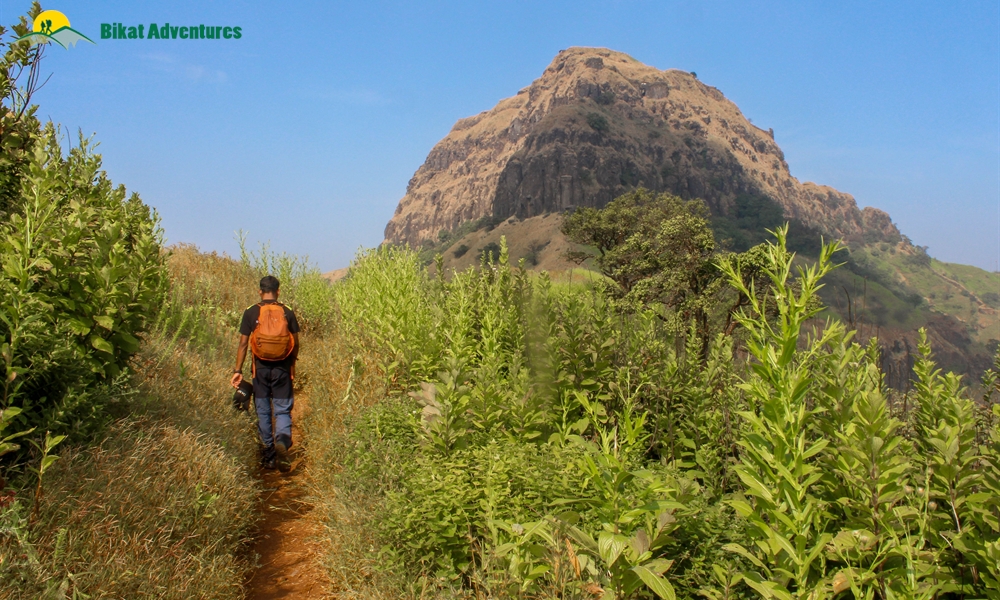 Maharashtra Memoirs: Hiking in the Sahyadris