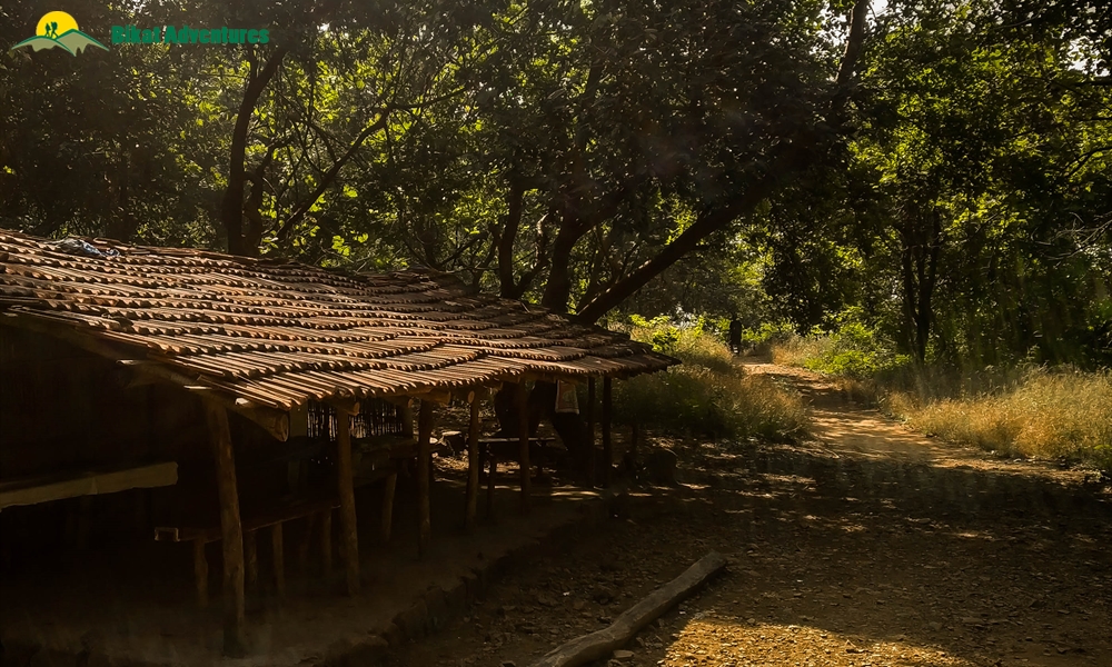 Maharashtra Memoirs: Hiking in the Sahyadris