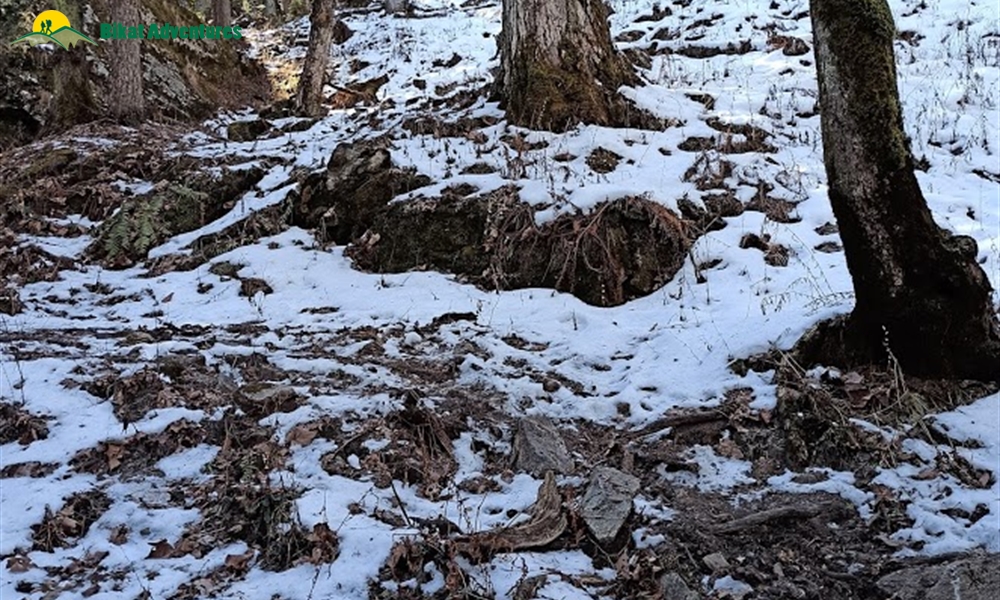 Pangarchulla peak - the adventure dose
