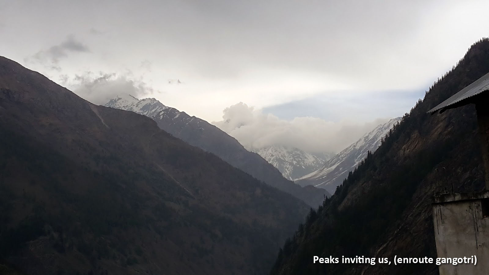 Futchas at Kirti Bamak and Meru Glacier