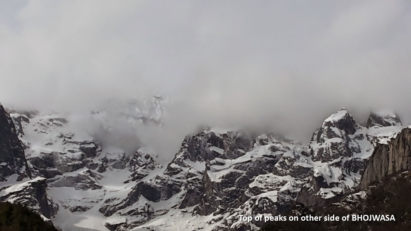 Futchas at Kirti Bamak and Meru Glacier