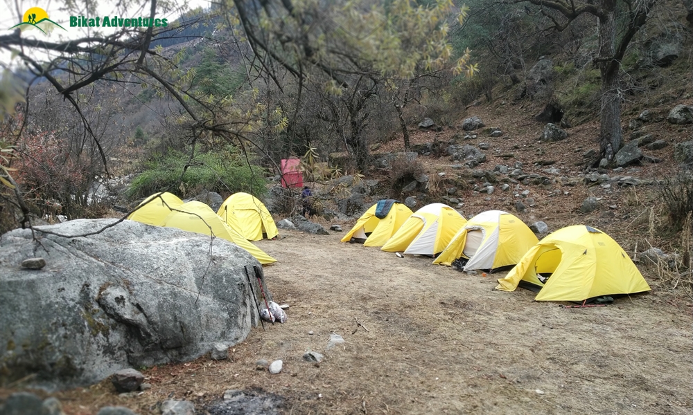 My first trek in the Himalayas – Har Ki Dun