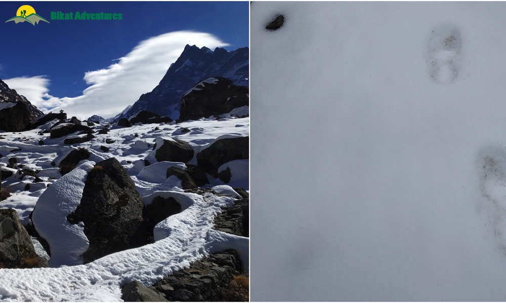 My first trek in the Himalayas – Har Ki Dun