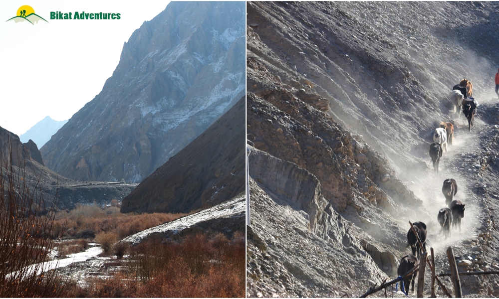 Markha Valley – A Journey From The Summer Land To The Winter Capital!