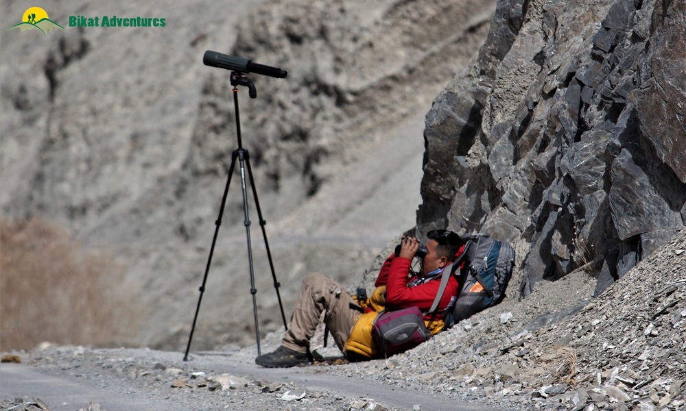 All You need to Know about the Snow Leopard Expedition