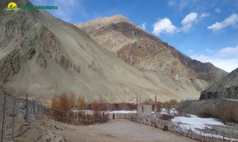 Snow Leopard Winter Trek – An Episode from the Cartoons 