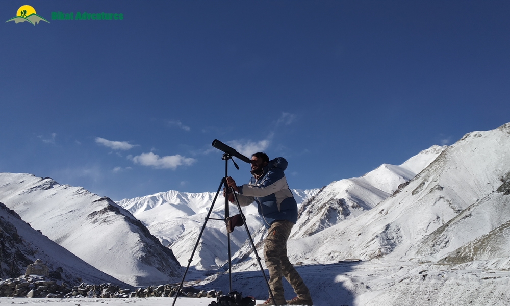 Snow Leopard Winter Trek – An Episode from the Cartoons 