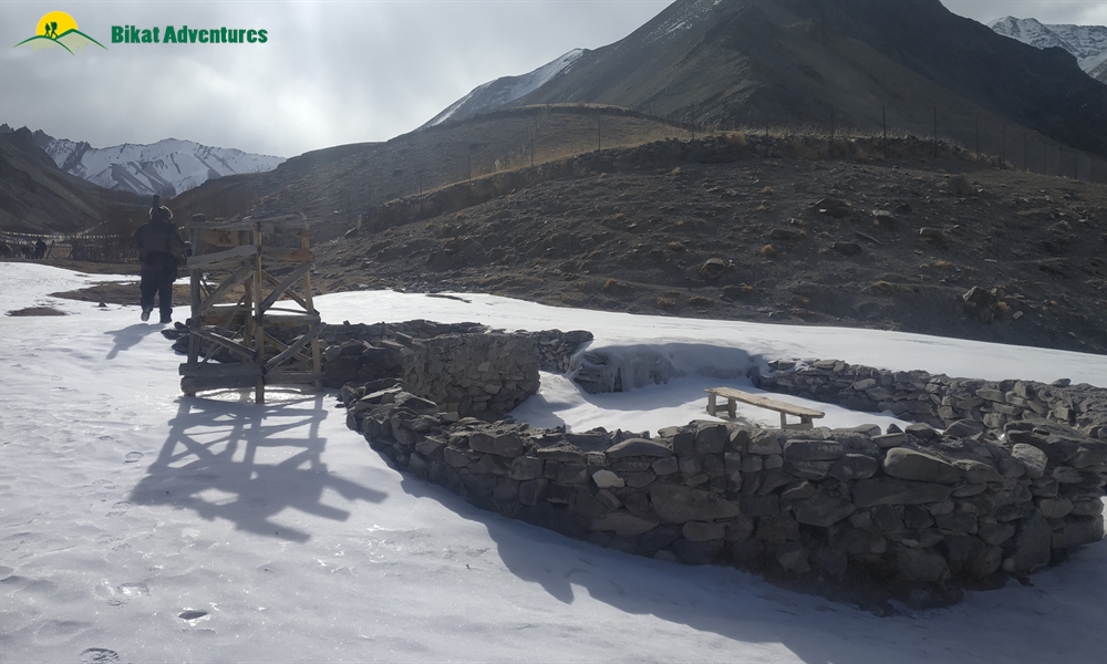 Snow Leopard Winter Trek – An Episode from the Cartoons 