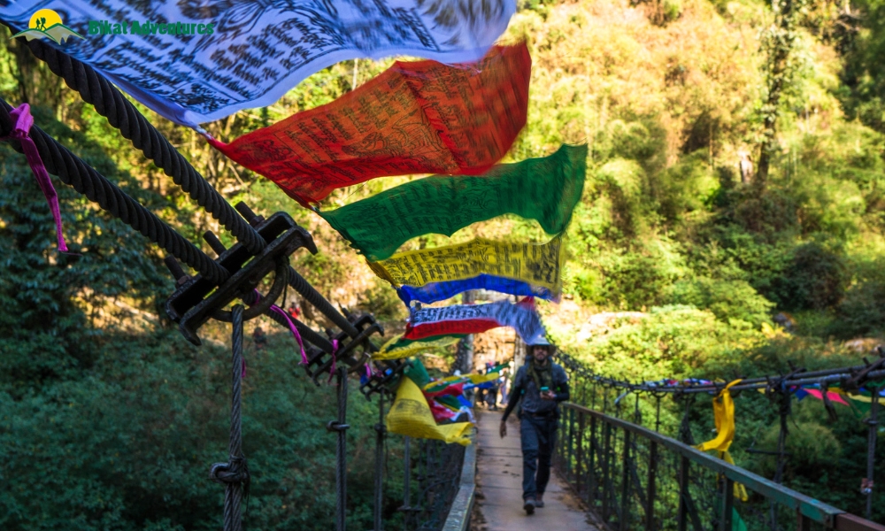 Highlights Of The Goechala Trek