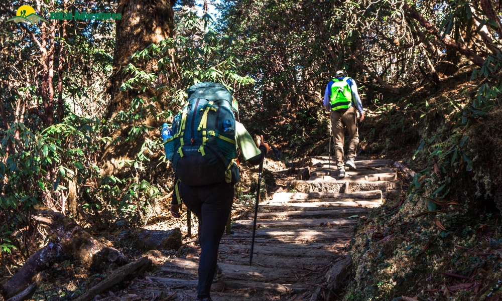 Highlights Of The Goechala Trek
