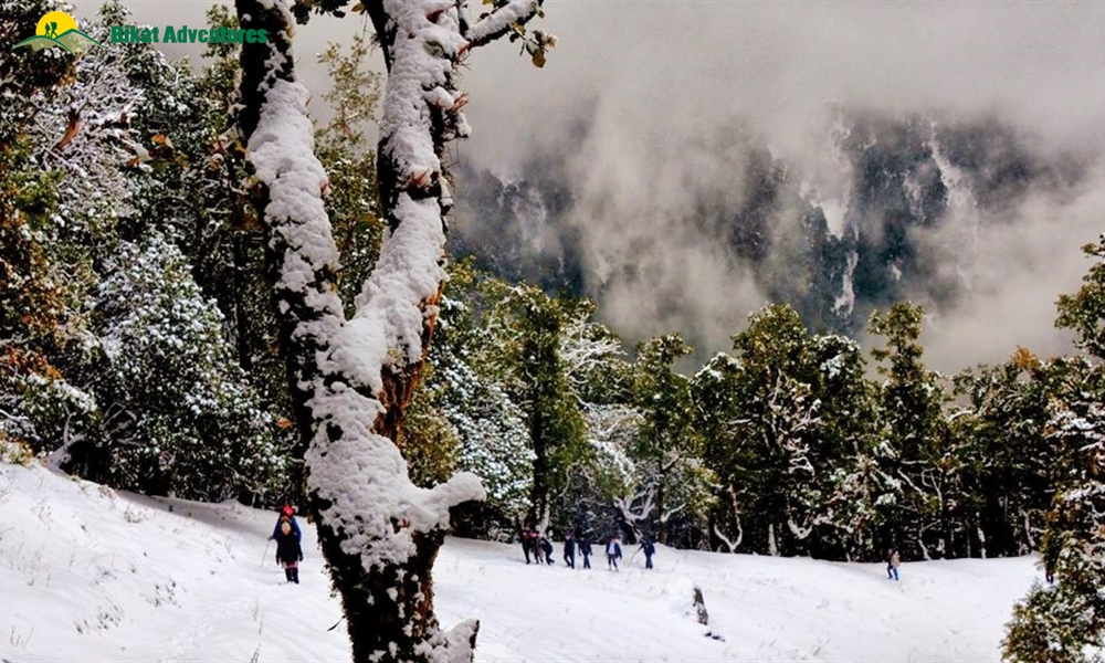 Highlights of Nag Tibba Trek 