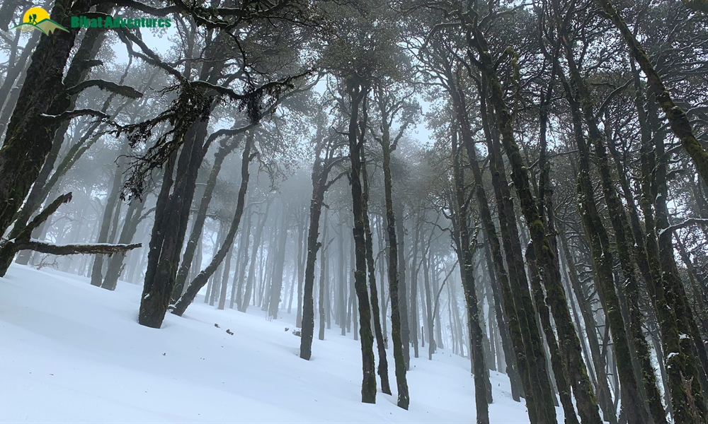 Highlights of Nag Tibba Trek 