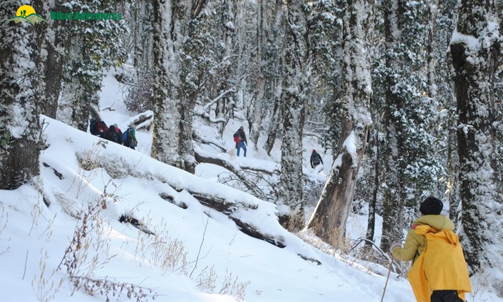 Highlights of Nag Tibba Trek 
