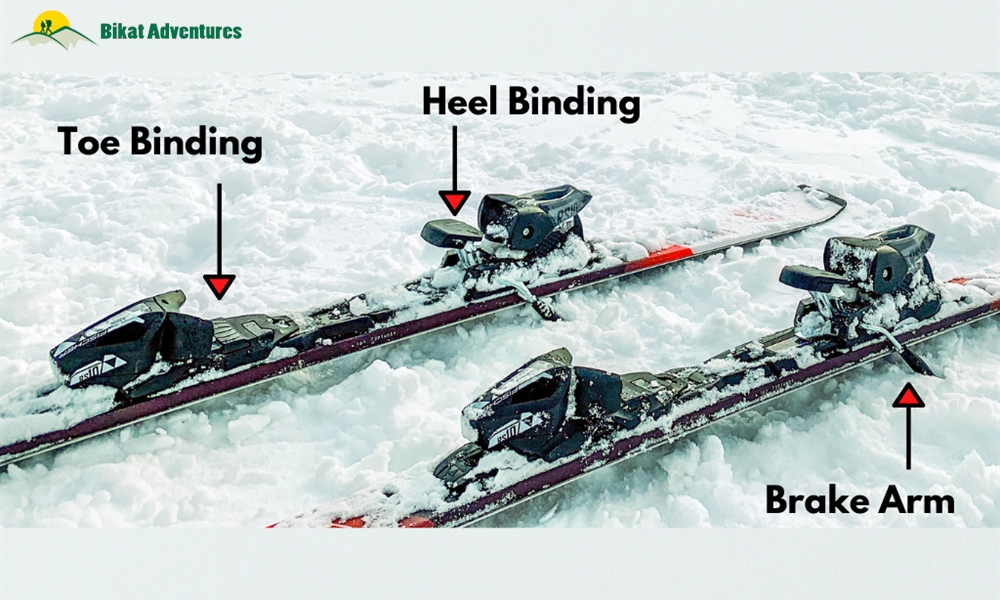 Parts of a Ski 101 Guide to Skiing