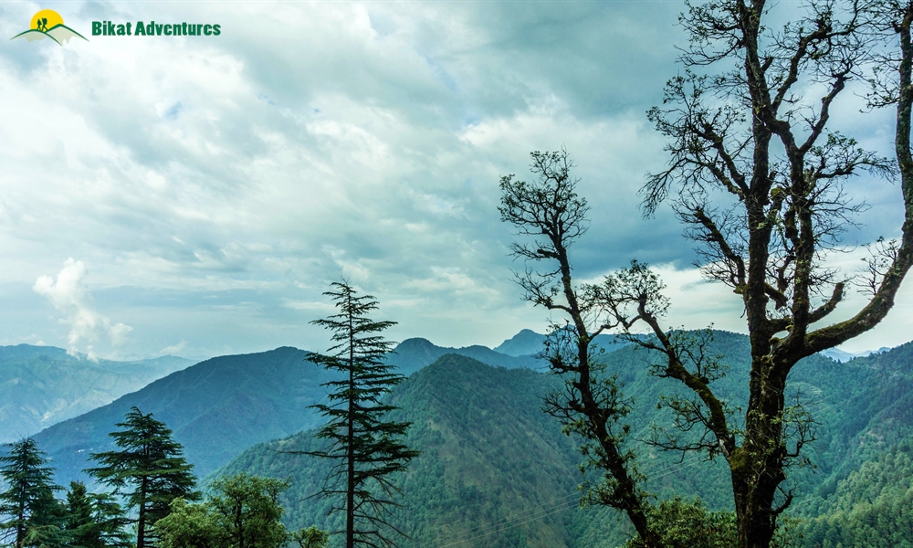 Highlights of Kedarkantha Trek