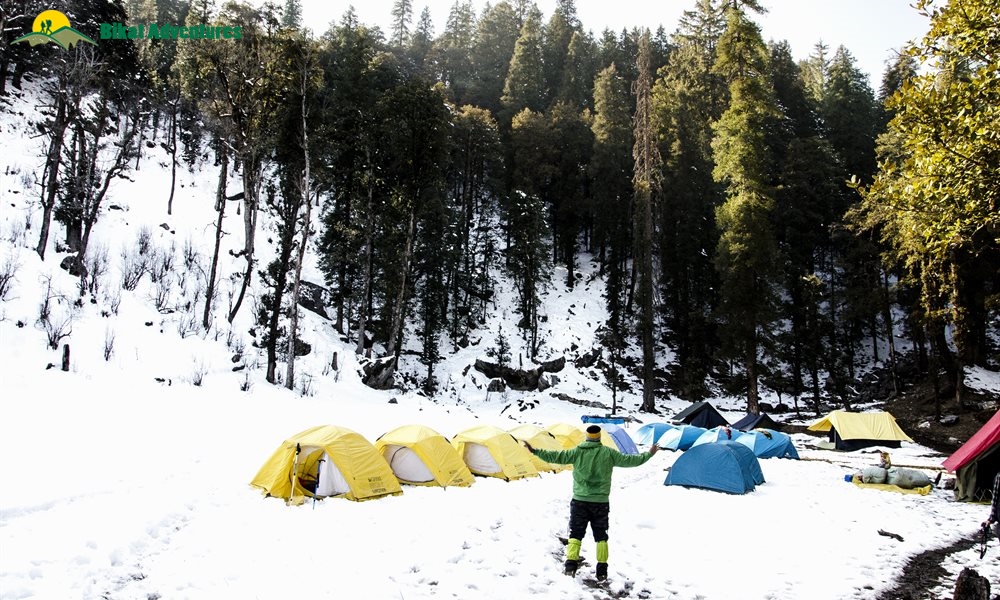 Highlights of Kedarkantha Trek