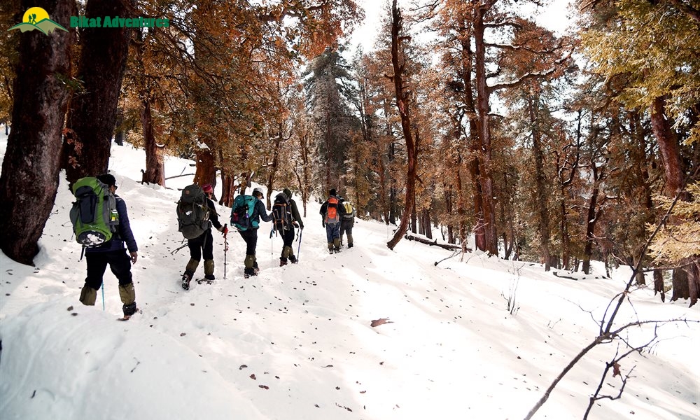 Highlights of Kedarkantha Trek