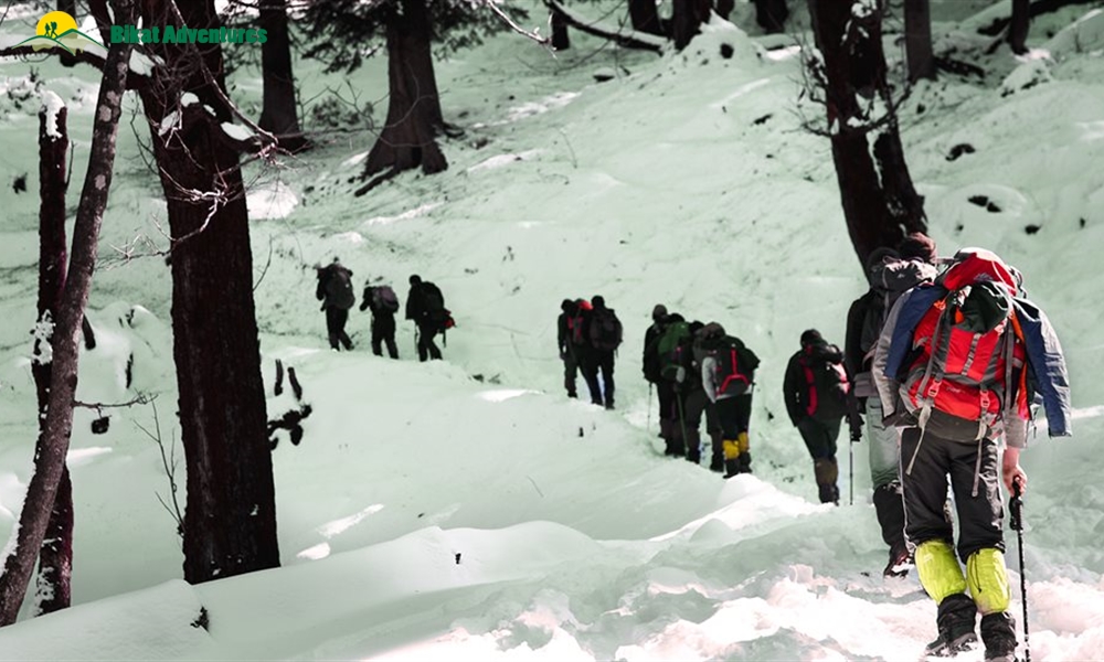 Highlights of Kedarkantha Trek