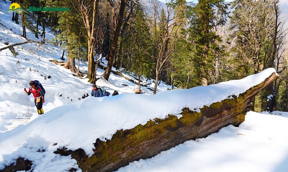 Highlights of Kedarkantha Trek
