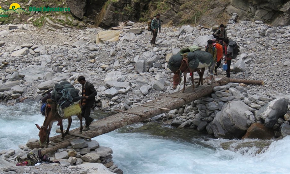 Highlights – Rupin Pass Trek