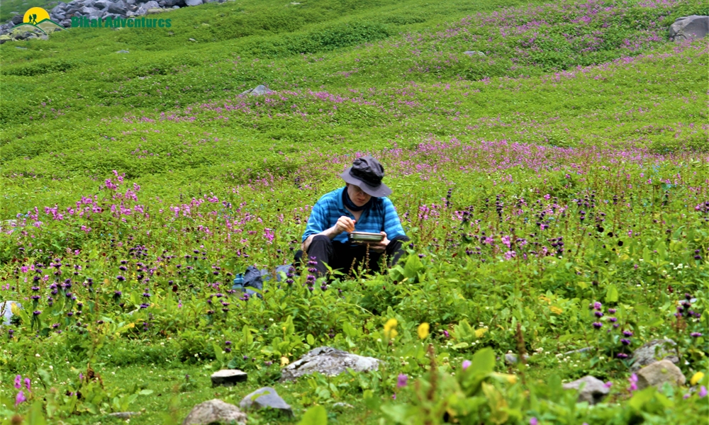 The Classic Assets of Hampta Pass – A Photo Story!