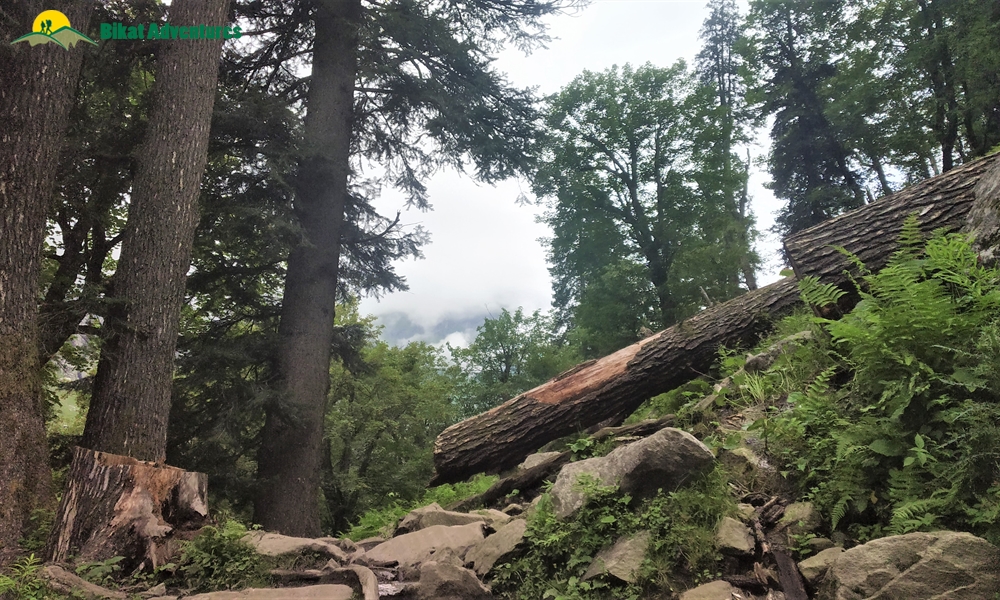 Hampta Pass – A Big Box of Assorted Chocolates