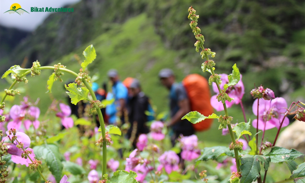 How do you find out if a Trekking Organization is Sustainable?