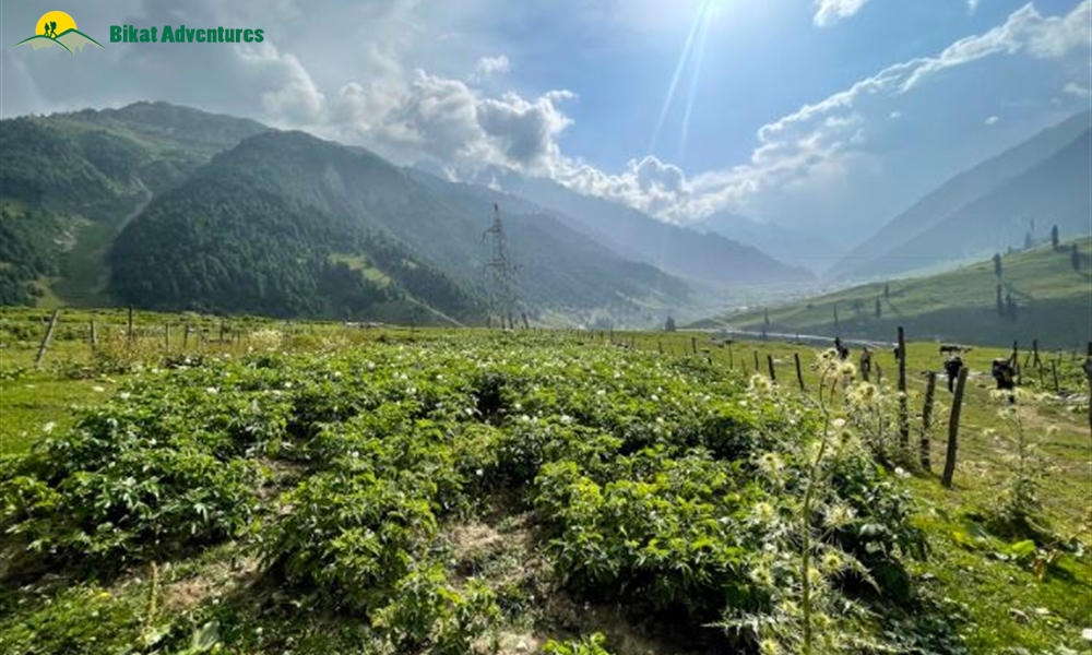 Kashmir Great Lakes 29-Aug-2021 to 04-Sep-2021
