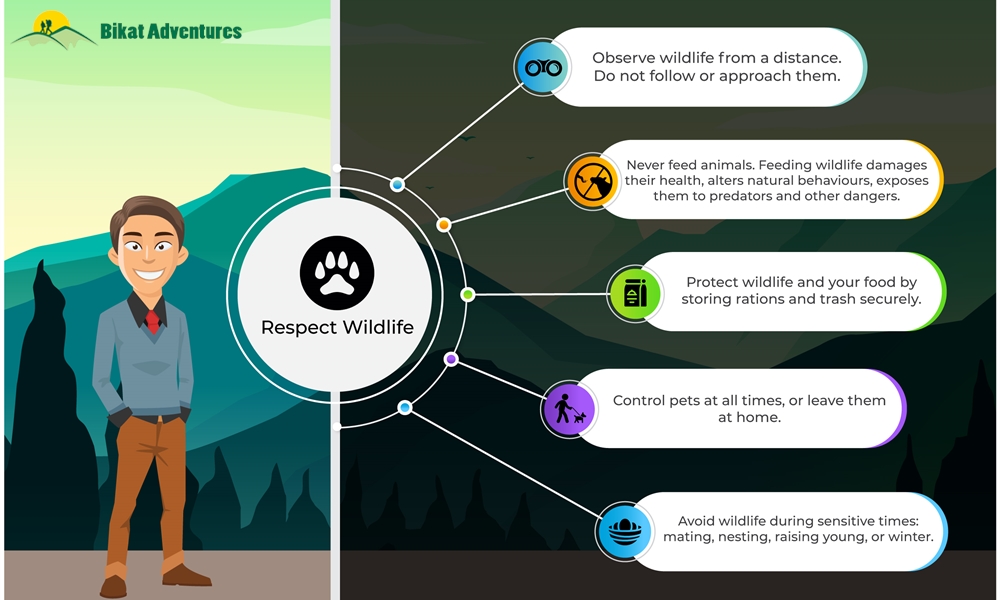 Leave No Trace Principles Applied to the Context of Trekking in India