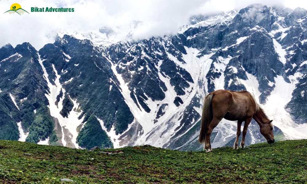 The Marvels Of Friendship Peak – A Photo Story