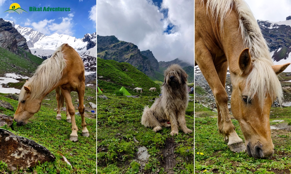 The Marvels Of Friendship Peak – A Photo Story