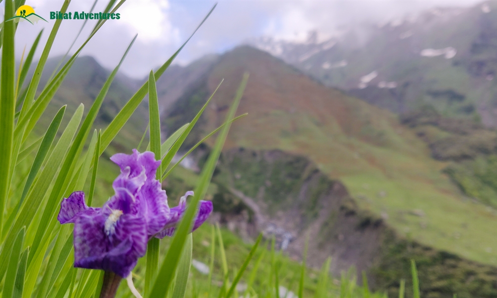 The Marvels Of Friendship Peak – A Photo Story