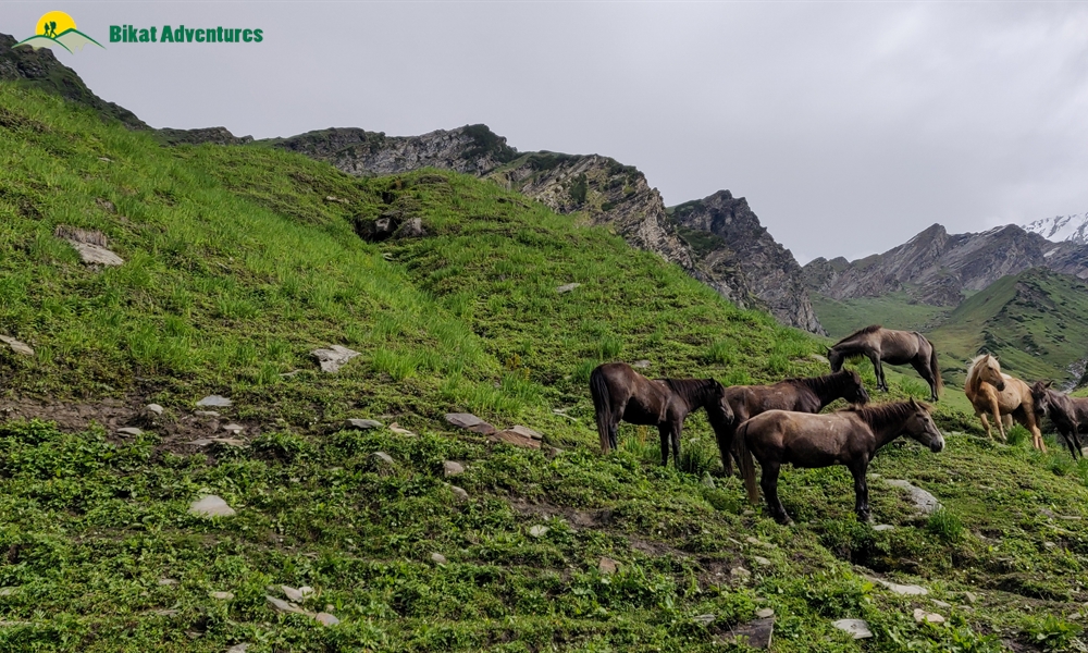 The Marvels Of Friendship Peak – A Photo Story