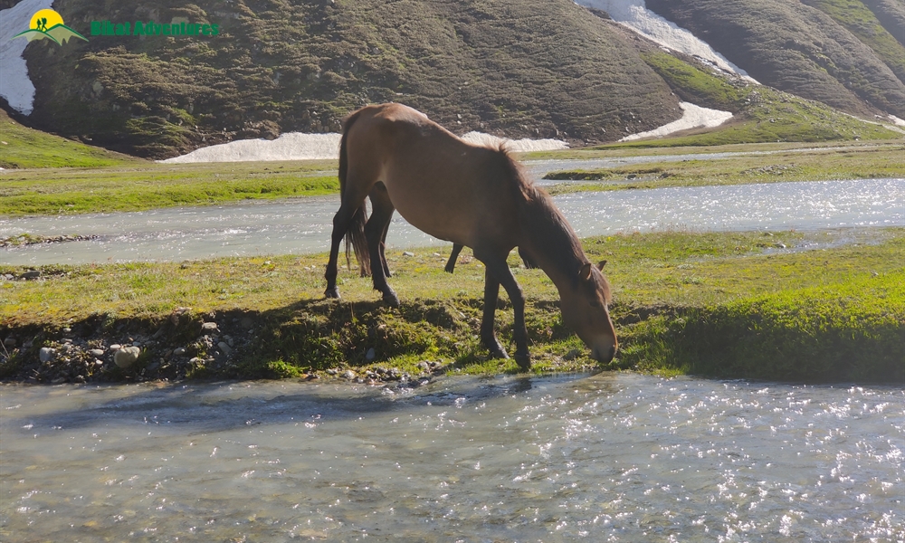 Highlights Of Pin Bhaba Pass Trek