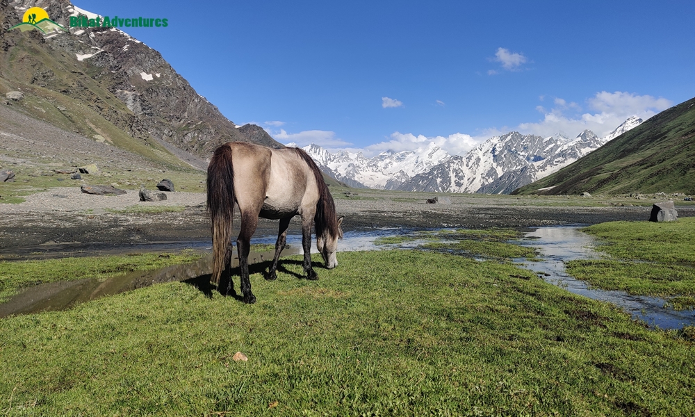 PIN BHABA PASS TREK: WHO IS THIS TREK MEANT FOR