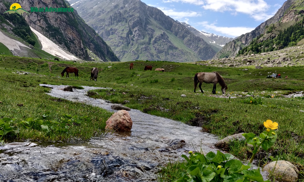 PIN BHABA PASS TREK: WHO IS THIS TREK MEANT FOR