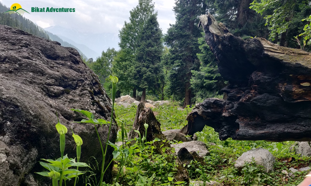 PIN BHABA PASS TREK: WHO IS THIS TREK MEANT FOR