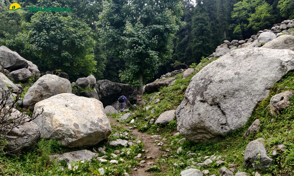  All Things Bright And Beautiful – A Photo Story Of Pin Bhaba Pass Trek