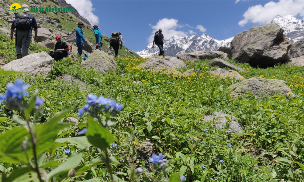  All Things Bright And Beautiful – A Photo Story Of Pin Bhaba Pass Trek