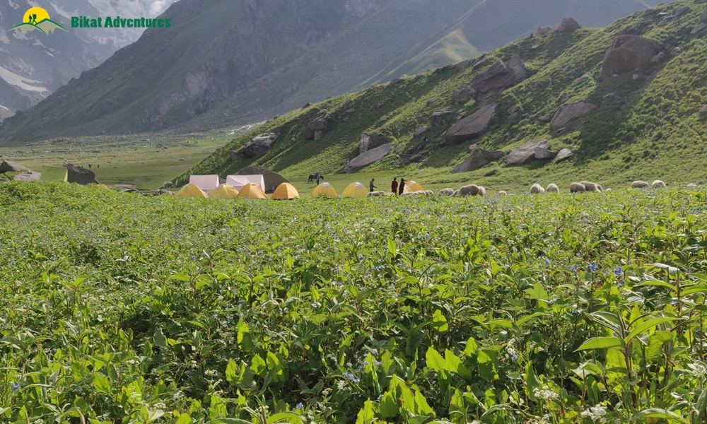  All Things Bright And Beautiful – A Photo Story Of Pin Bhaba Pass Trek