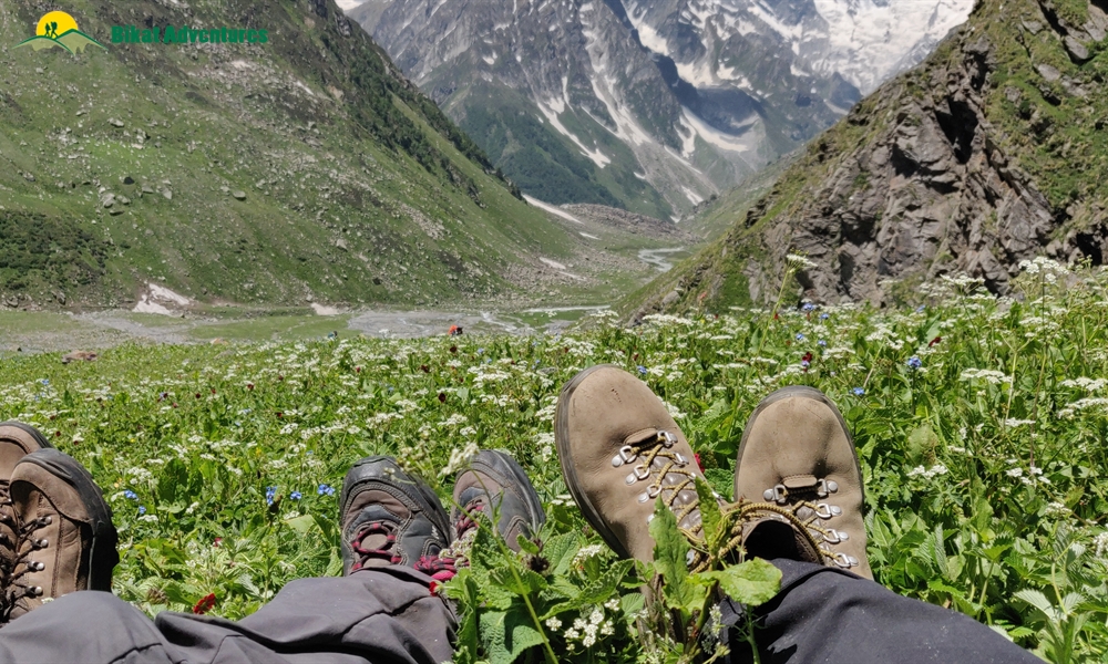  All Things Bright And Beautiful – A Photo Story Of Pin Bhaba Pass Trek