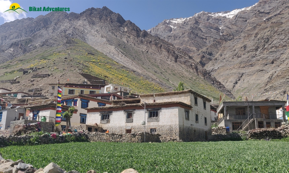  All Things Bright And Beautiful – A Photo Story Of Pin Bhaba Pass Trek