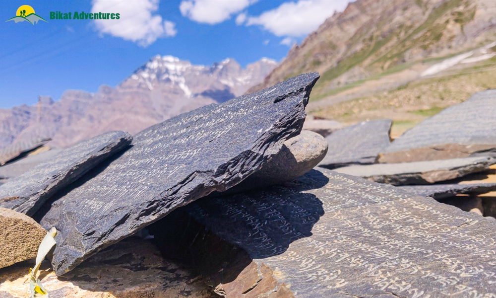  All Things Bright And Beautiful – A Photo Story Of Pin Bhaba Pass Trek