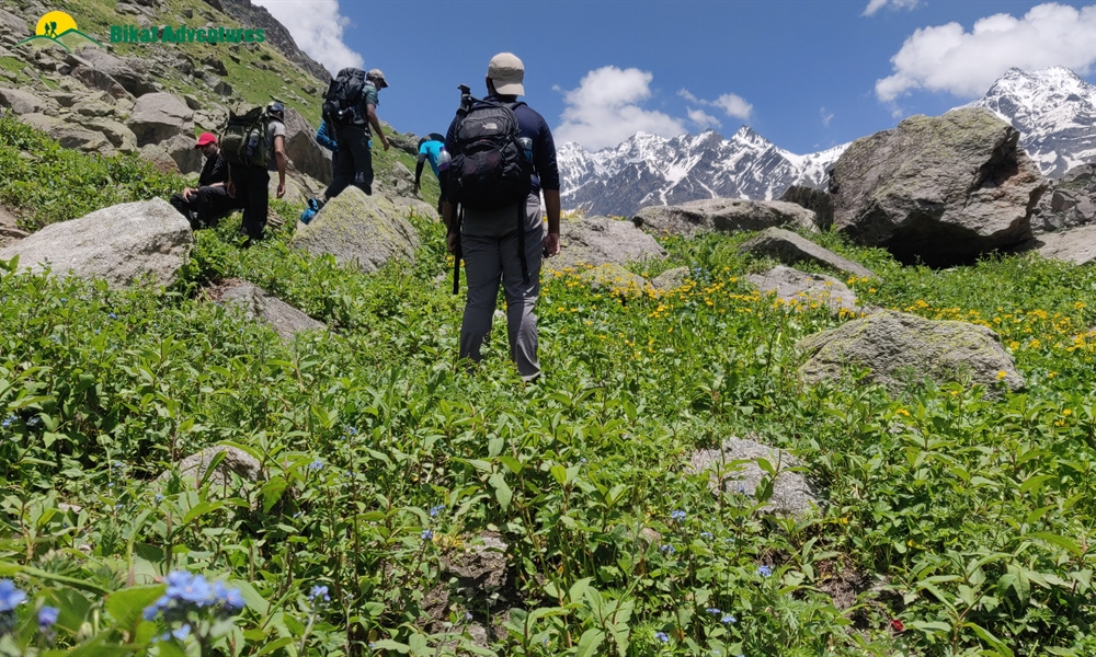  All Things Bright And Beautiful – A Photo Story Of Pin Bhaba Pass Trek