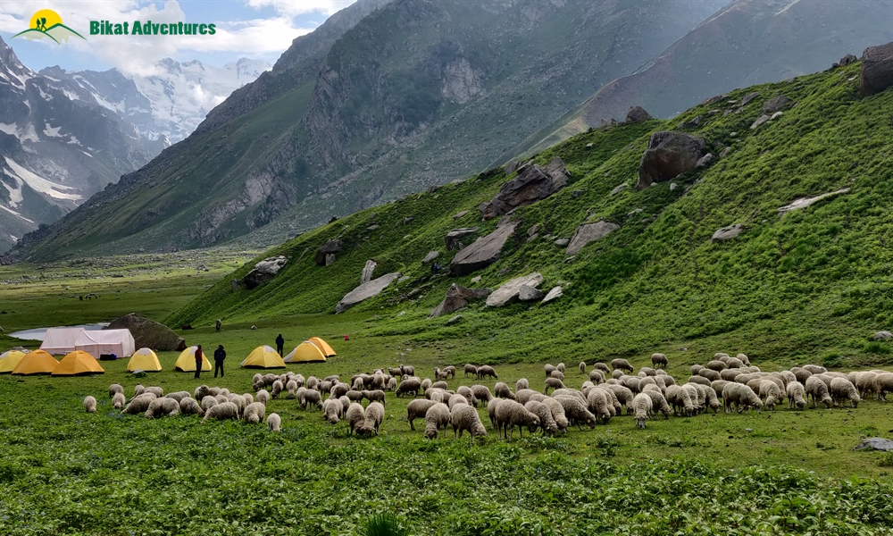  All Things Bright And Beautiful – A Photo Story Of Pin Bhaba Pass Trek
