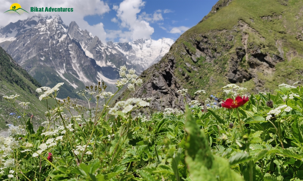  All Things Bright And Beautiful – A Photo Story Of Pin Bhaba Pass Trek