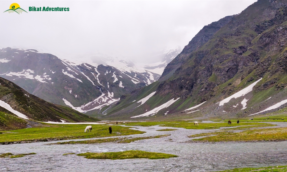  All Things Bright And Beautiful – A Photo Story Of Pin Bhaba Pass Trek